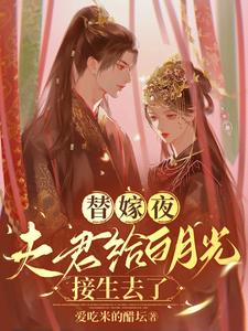 替嫁后成了夫君心尖宠小说